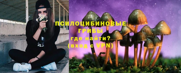 apvp Ладушкин