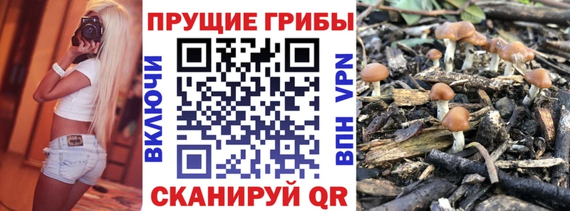 Галлюциногенные грибы Psilocybe  Рыбное 